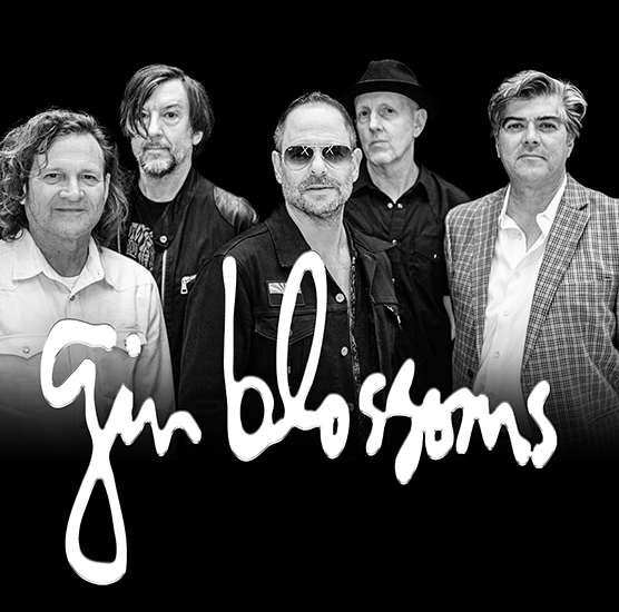 gin blossoms