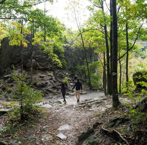 Wilderness Weekends