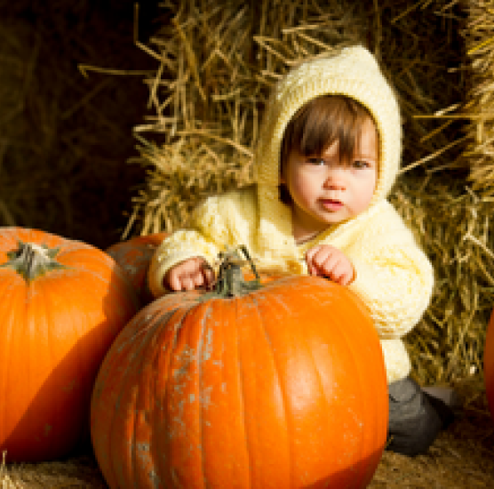 Boo at the Zoo