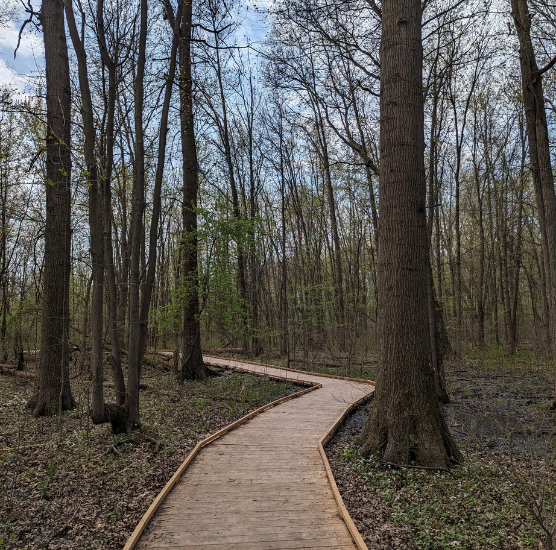 Earth Week Workshops at Heartland Forest