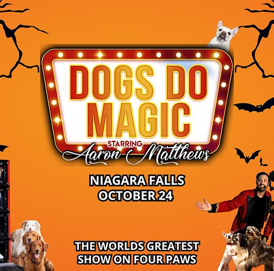 Canine Circus Presents: Dogs Do Magic