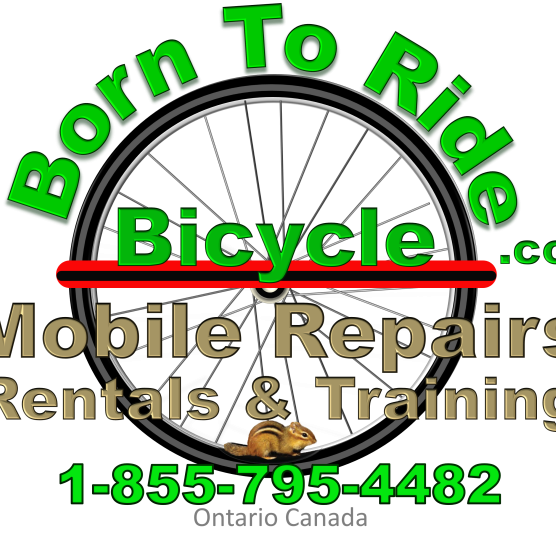 Born To Ride Bicycle