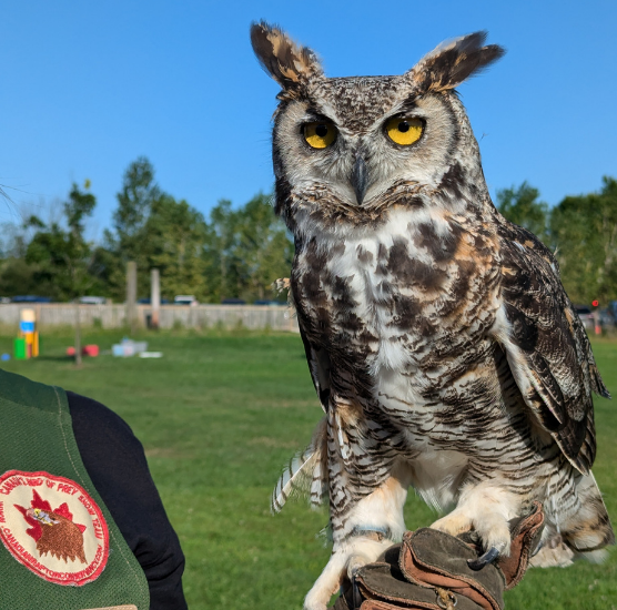 Family Fun Night at Heartland Forest