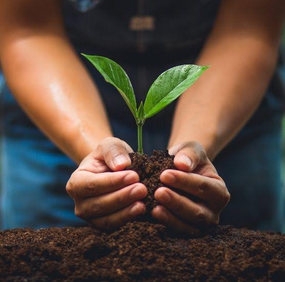 Community Tree Planting Day