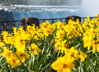 Spring in Niagara Falls