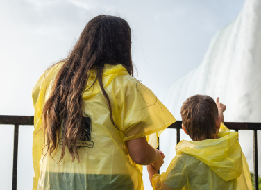 Your Guide to a Perfect Rainy Day