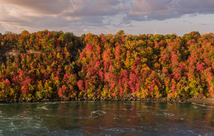  Must-See Spots for Spectacular Fall Colours in Niagara Falls