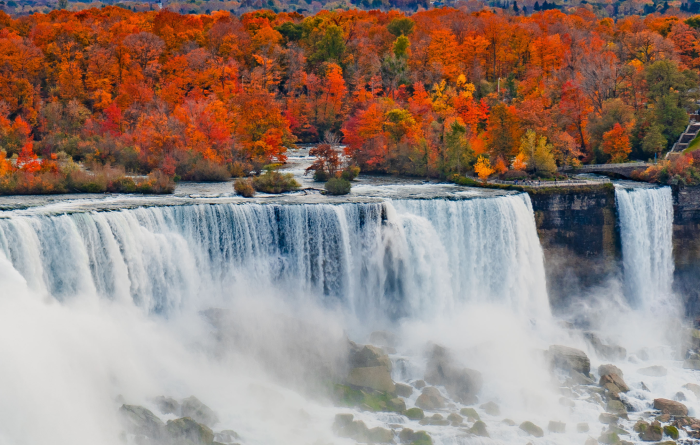 American Thanksgiving