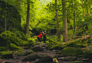 Hiking