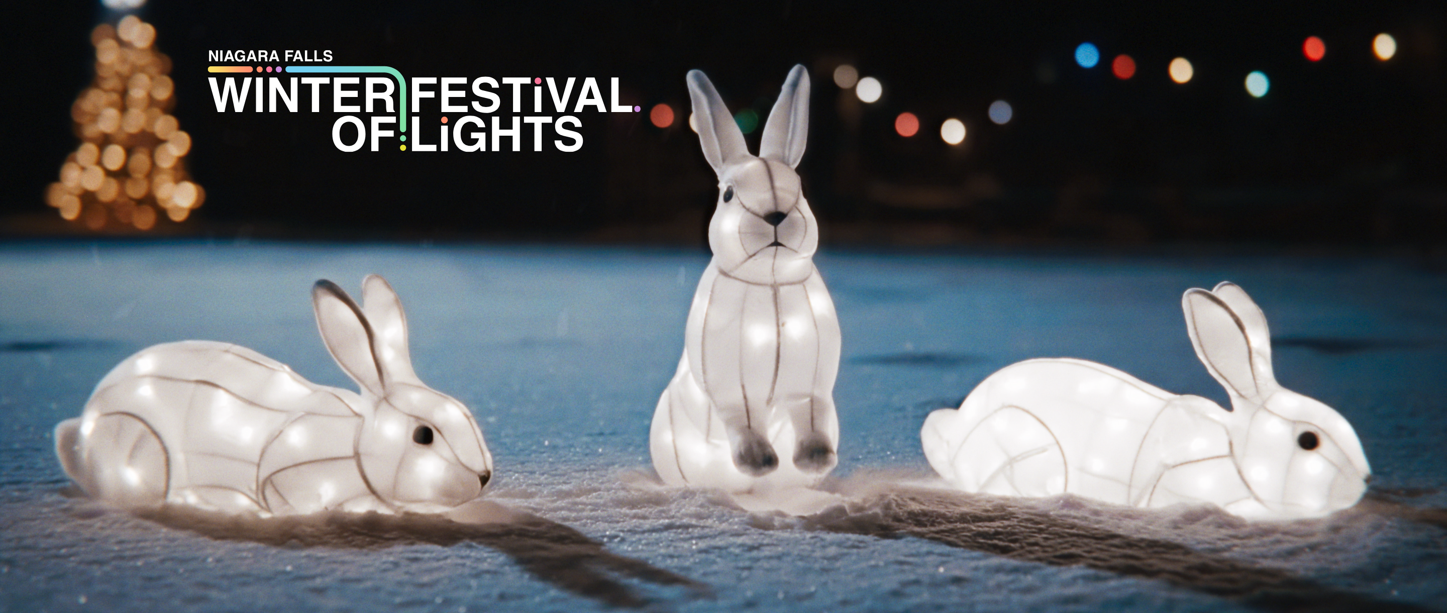 Winter Festival of Lights