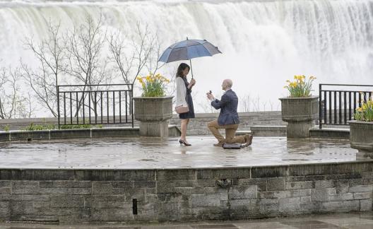 proposal